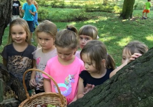 Dziewczynki nazbierały koszyk kasztanów i żołędzi