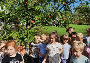 Dzieci pod jabłonią