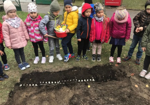 Dzieci przygotowują się do sadzenia żonkili w ogrodzie przedszkolnym