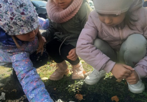 Dziewczynki sadzą cebulki