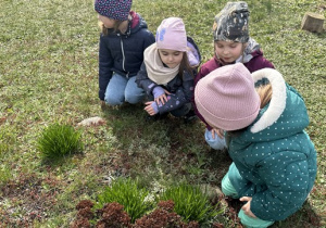 Dziewczynki zwróciły uwagę na zielone trawy