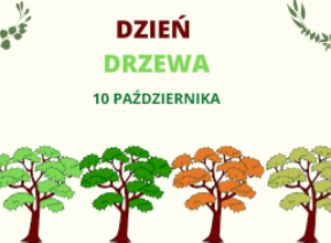 Dzień Drzewa