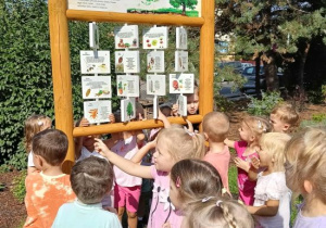 Wiewiórki oglądają nową tablicę edukacyjną.