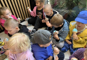 Biedronki jedzą przepyszne lody.