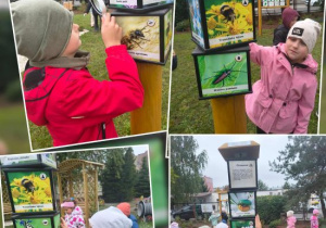 Dzieci oglądają przez lupy owady zapylające na grze typu światowid w ogrodzie.
