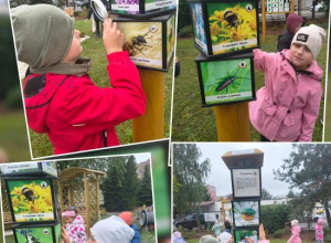 Poszukiwanie zwierząt