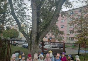 Grupowe zdjęcie dzieci z grupy Motylków pod drzewem.
