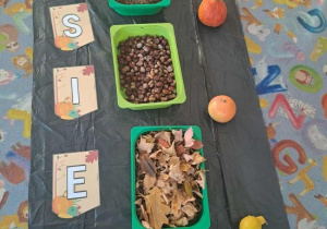 Ścieżka sensoryczna, jesienna z darów natury.