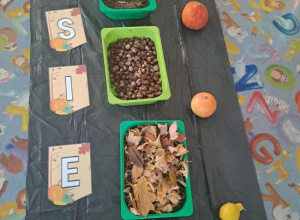 Ścieżka sensoryczna