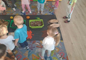 Dzieci oglądają ścieżkę sensoryczną.