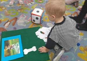 Chłopiec układa kości dla pieska zgodnie z wyrzuconą ilością kropek na kostce.