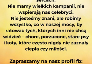 Informacje o stowarzyszeniu Dialogowe Bezdomniaki.
