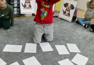 Chłopiec gra w memory z psami.