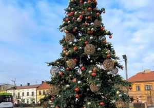 Dzieci z grupy pszczółek stoją pod choinką na Placu Kościuszki.