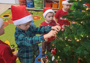 Chłopcy zawieszają ozdoby na choince.