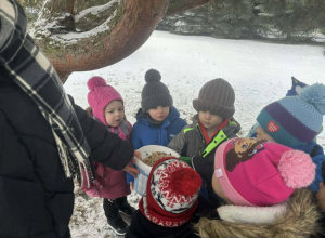 Jeżyki dokarmiają ptaki