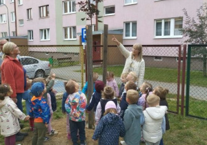 Pani opowiada dzieciom o posadzonym klonie.